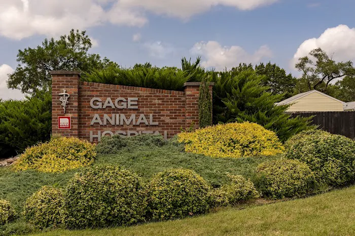 Gage Animal Hospital Picture 2