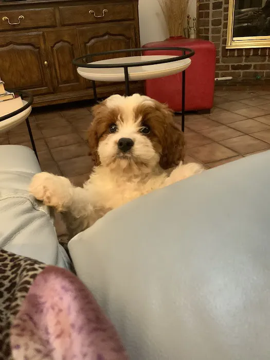 Gage Animal Hospital Picture 3