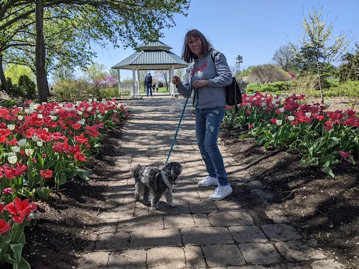 Lifelong Pet Health Care Picture 6