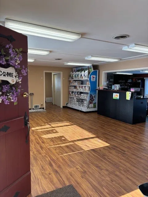 Lifelong Pet Health Care Picture 10