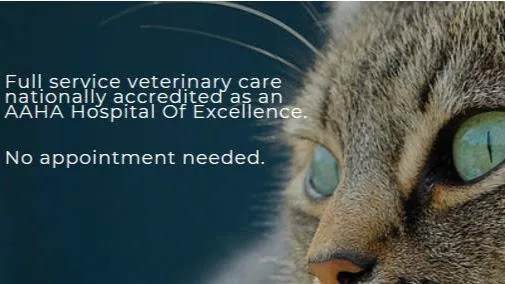 Stone House Animal Hospital Picture 1