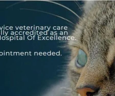 Stone House Animal Hospital