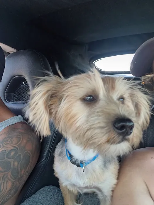 Stone House Animal Hospital Picture 3