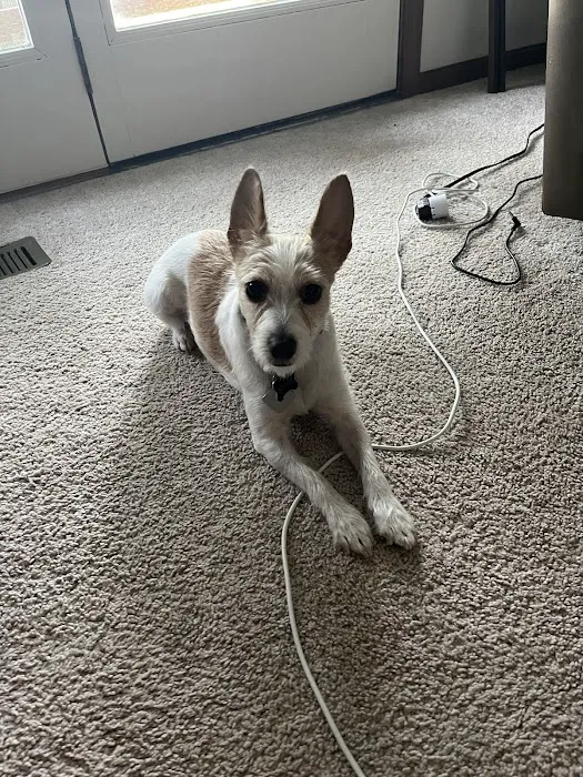 Stone House Animal Hospital Picture 2