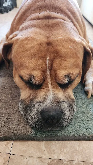 Stone House Animal Hospital Picture 5