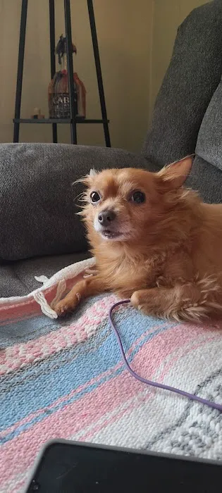 Stone House Animal Hospital Picture 4