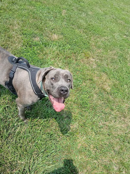 Stone House Animal Hospital Picture 6