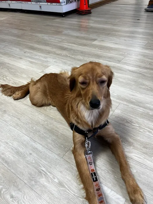 Stone House Animal Hospital Picture 8