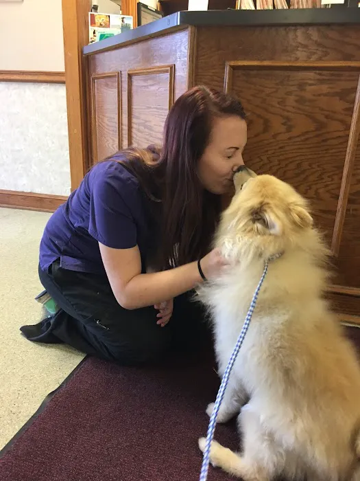 Stone House Animal Hospital Picture 9