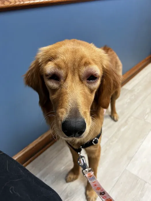 Stone House Animal Hospital Picture 7