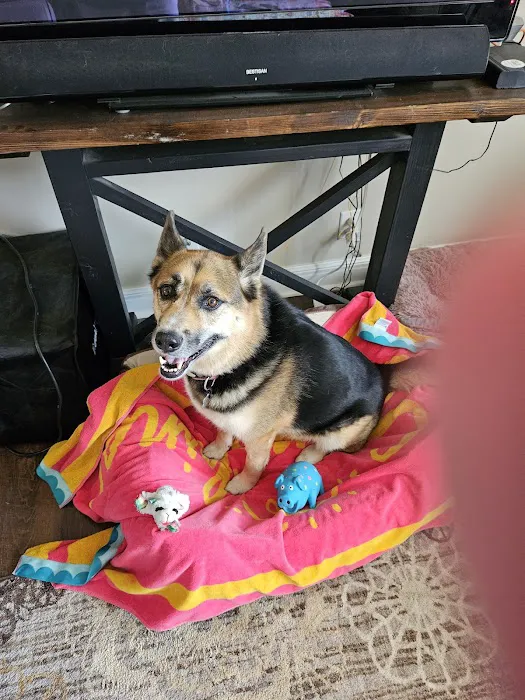 Veterinary Medical & Surgical Hospital of Topeka Picture 4