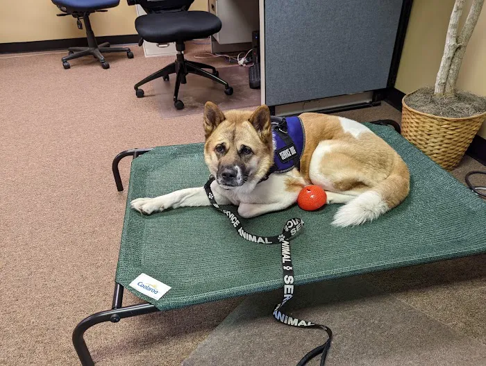 Veterinary Medical & Surgical Hospital of Topeka Picture 3