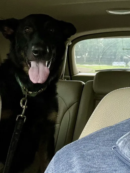 Veterinary Medical & Surgical Hospital of Topeka Picture 6