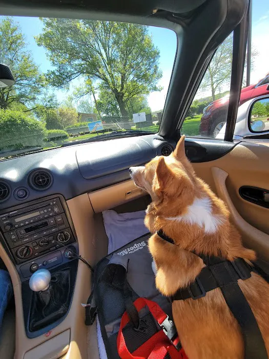 Clinton Parkway Animal Hospital Picture 1