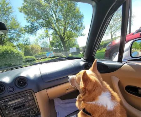 Clinton Parkway Animal Hospital