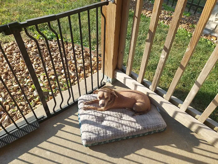 Clinton Parkway Animal Hospital Picture 3