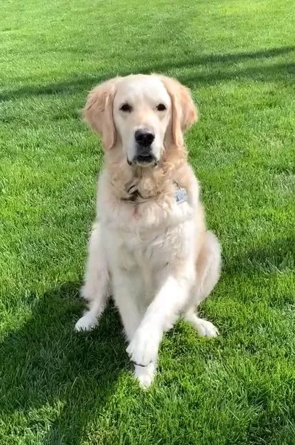 Clinton Parkway Animal Hospital Picture 6