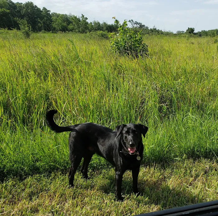 Clinton Parkway Animal Hospital Picture 5