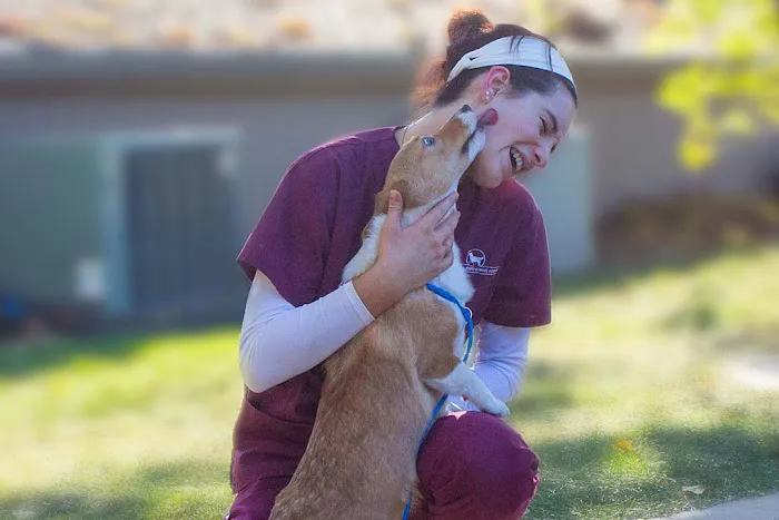 Clinton Parkway Animal Hospital Picture 8