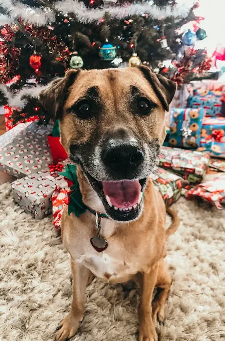 Clinton Parkway Animal Hospital Picture 7