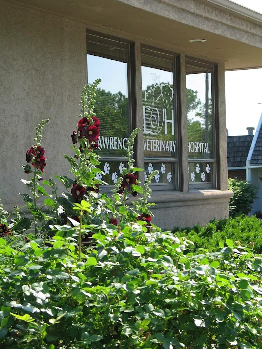 Lawrence Veterinary Hospital Picture 4