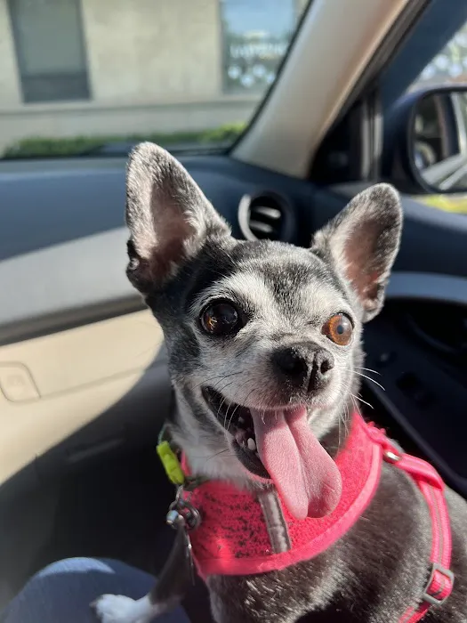 Lawrence Veterinary Hospital Picture 2