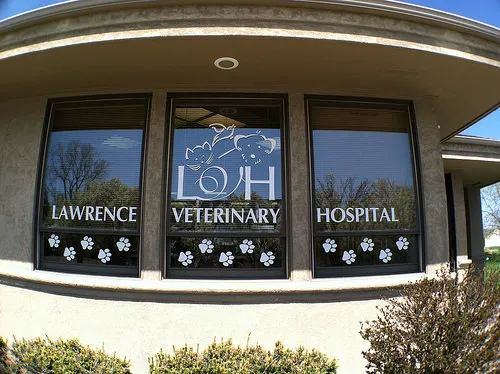 Lawrence Veterinary Hospital Picture 6