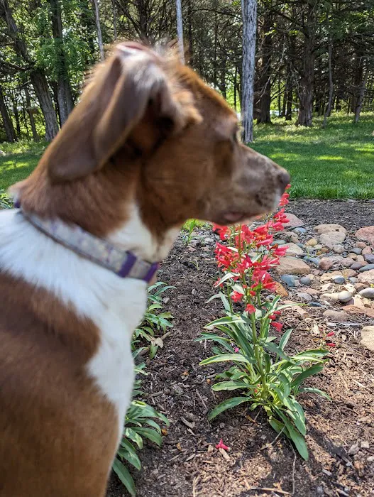 Lawrence Veterinary Hospital Picture 7