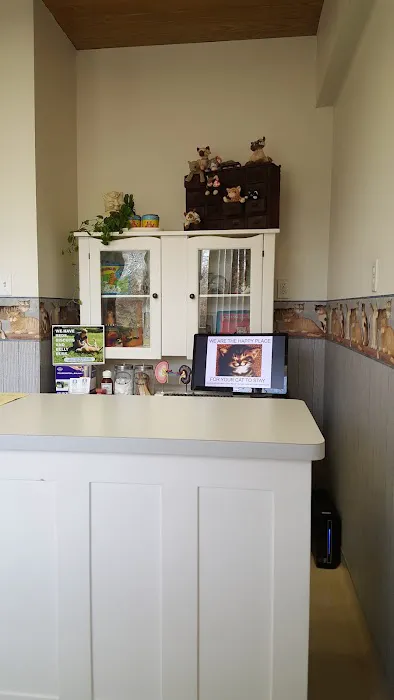 Bradley Animal Hospital, P.A. Picture 7