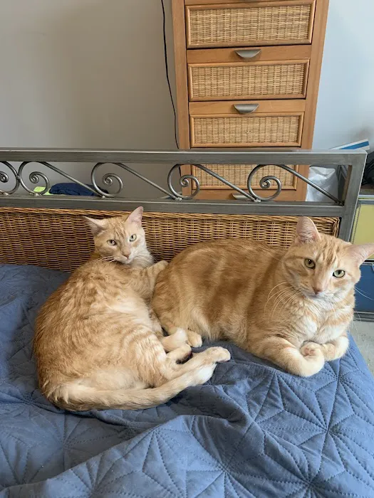 Bradley Animal Hospital, P.A. Picture 9