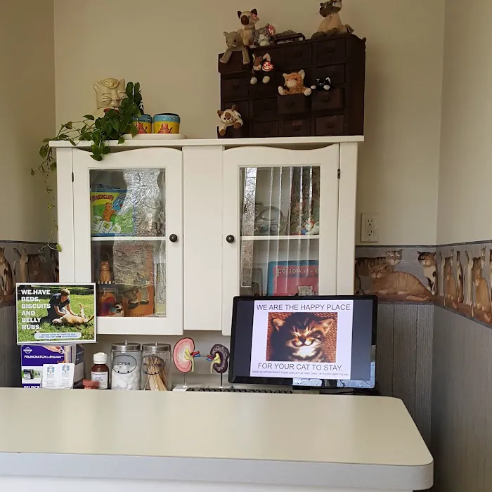 Bradley Animal Hospital, P.A. Picture 10