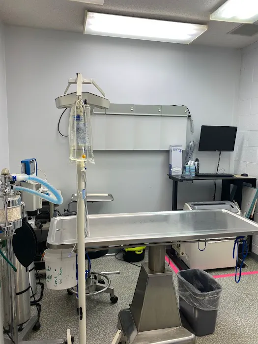 Shawnee Animal Hospital Picture 5