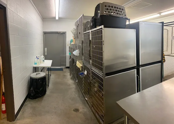 Shawnee Animal Hospital Picture 10