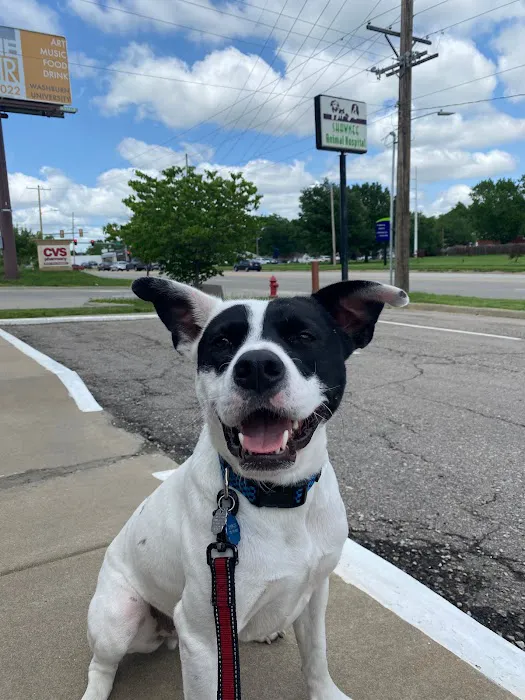 Shawnee Animal Hospital Picture 9