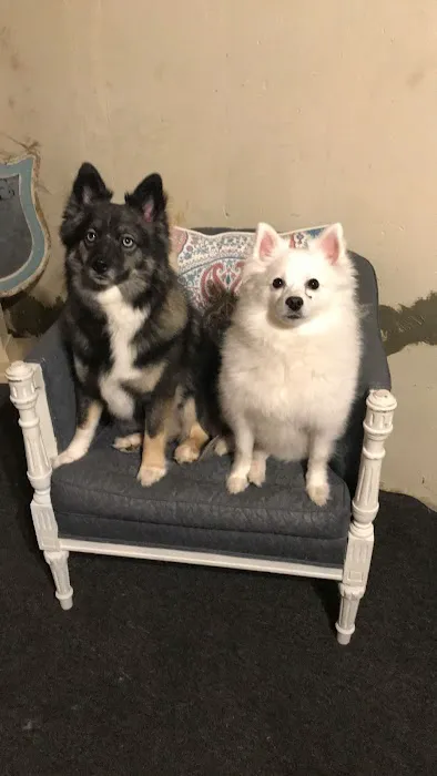 Winchester Pet Care Center Picture 3