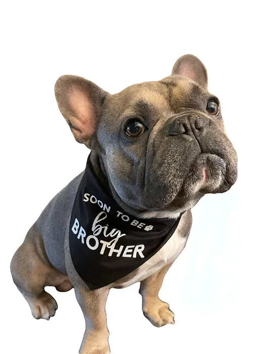 Winchester Pet Care Center Picture 1