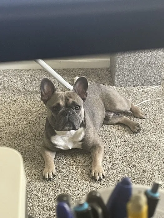 Winchester Pet Care Center Picture 2