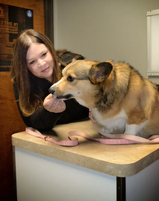 Winchester Pet Care Center Picture 6