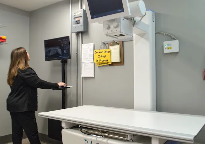 Winchester Pet Care Center Picture 4