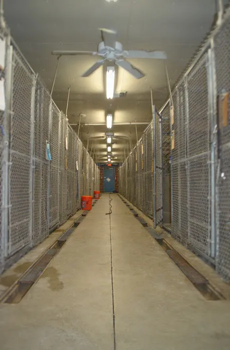 Winchester Pet Care Center Picture 10