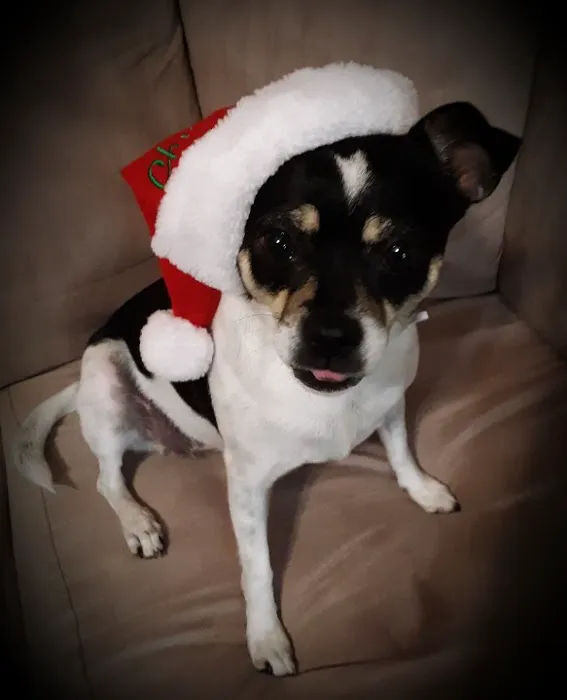 Banfield Pet Hospital Picture 3