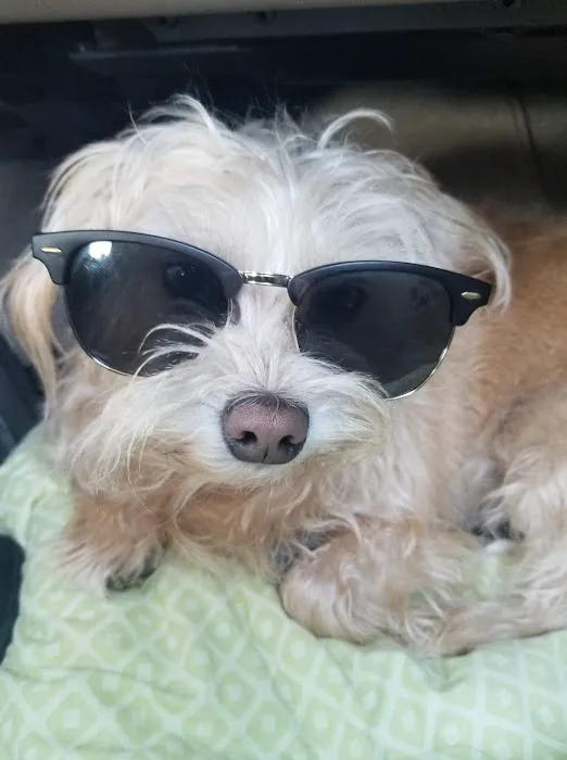 Banfield Pet Hospital Picture 6