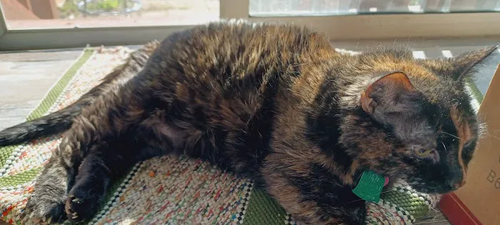 Banfield Pet Hospital Picture 7