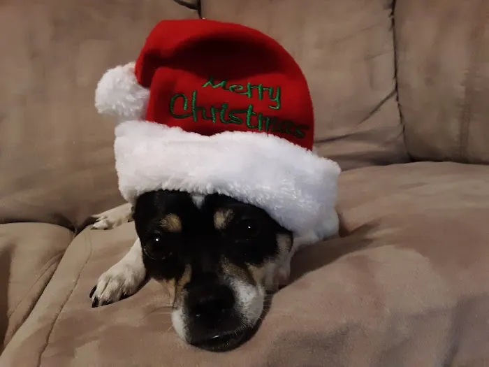 Banfield Pet Hospital Picture 2