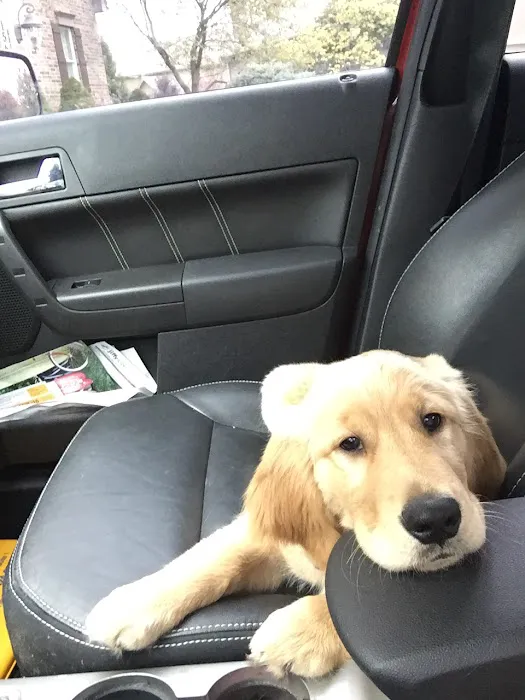 Banfield Pet Hospital Picture 10