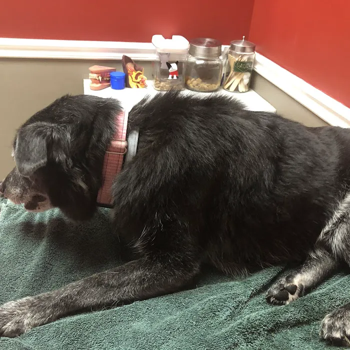 Ridgeview Animal Hospital Picture 2