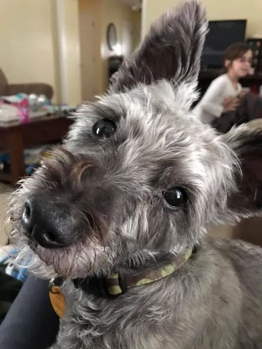 Ridgeview Animal Hospital Picture 8