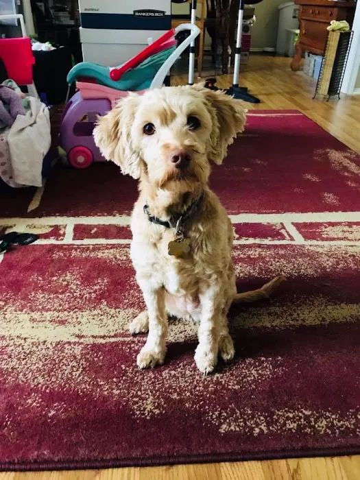 Ridgeview Animal Hospital Picture 9