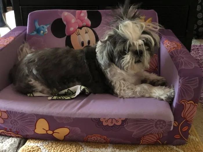 Ridgeview Animal Hospital Picture 7