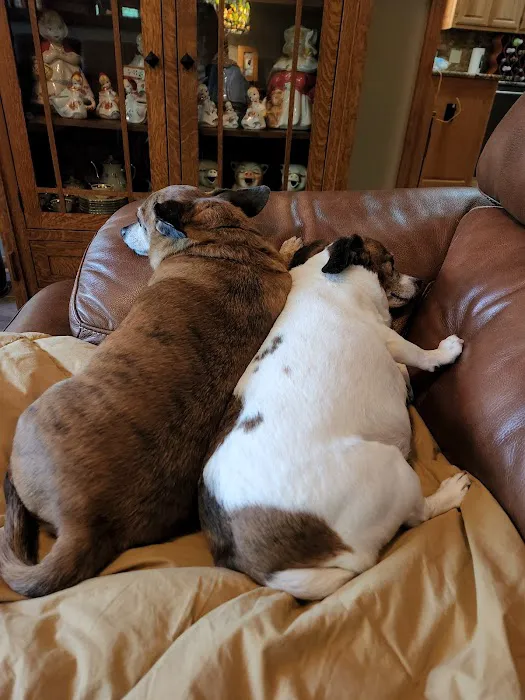 Marketplace Animal Hospital Picture 1